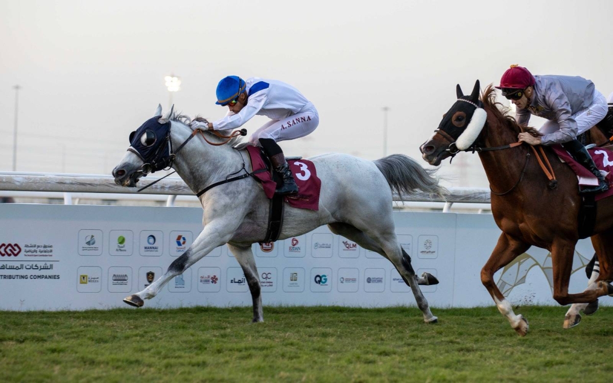 Last year, the Late Sheikh Jassim Bin Mohammed Bin Thani Trophy was won by Al Sij Al Sakb.