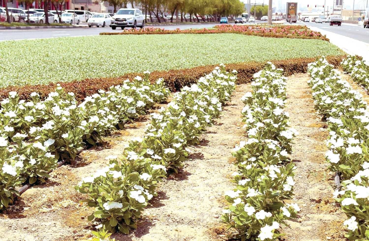 Call for greater focus in outlying areas of Doha, balanced civic development