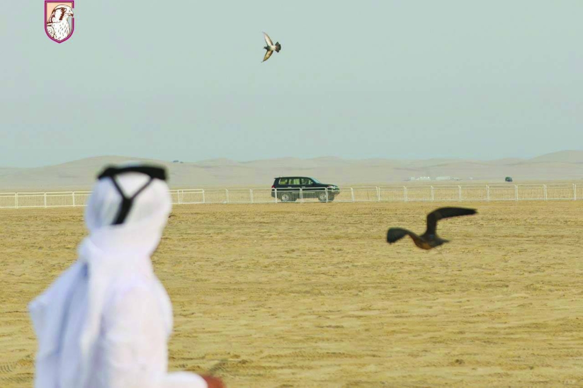 
Falconry is a physical activity that enhances fitness and develops self-reliance and daily commitment, whether in training or in caring for the falcon. 