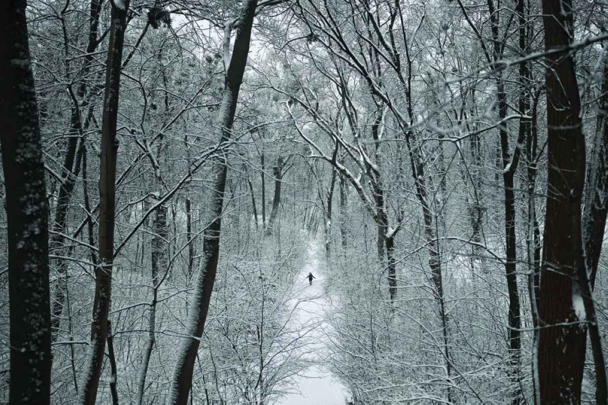 A person walks in a snow-covered park in Kyiv Thursday. (AFP)