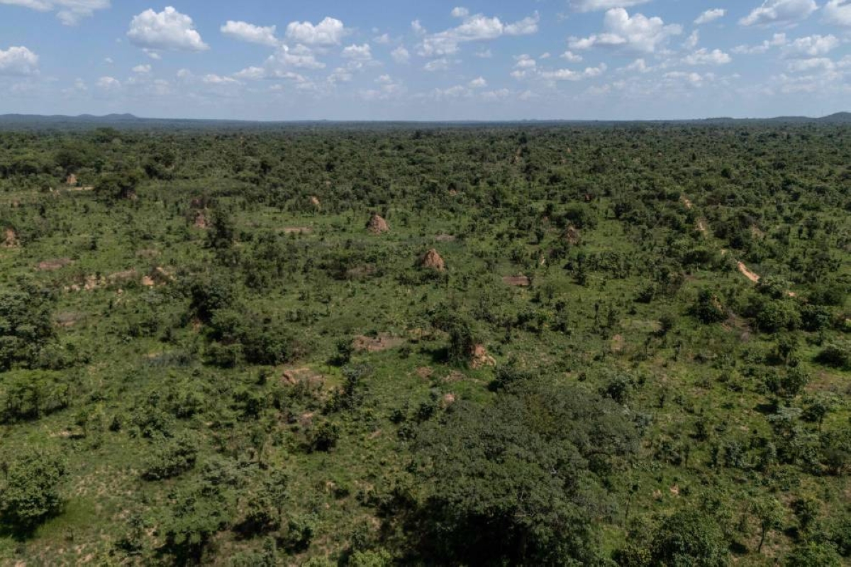 This aerial view shows a forest area in Likasi on November 27, 2025. As Chinese, US and other companies jostle over DR Congo’s critical minerals, communities in Haut-Katanga province fear security restrictions or unannounced road constructions in reserves will increase as they seek to protect their land. (AFP)