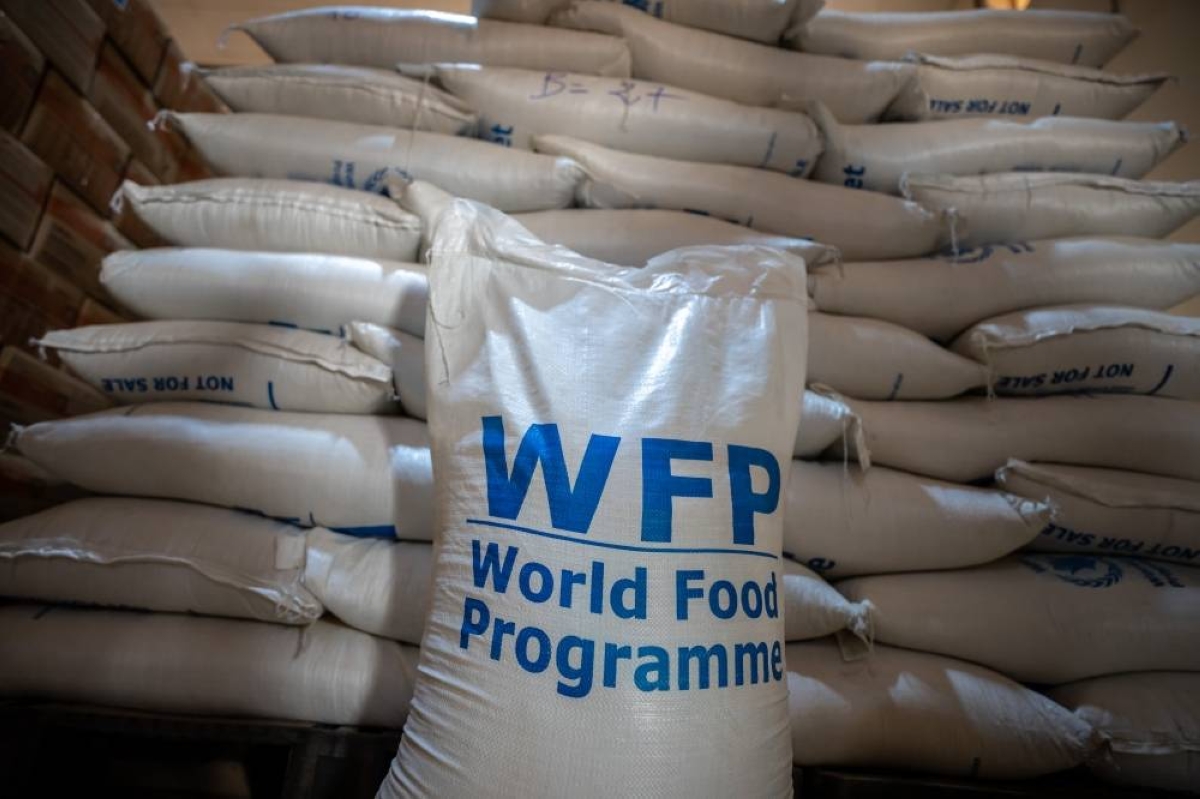 World Food Programme scales up operations in Gaza as ceasefire passes 100 days