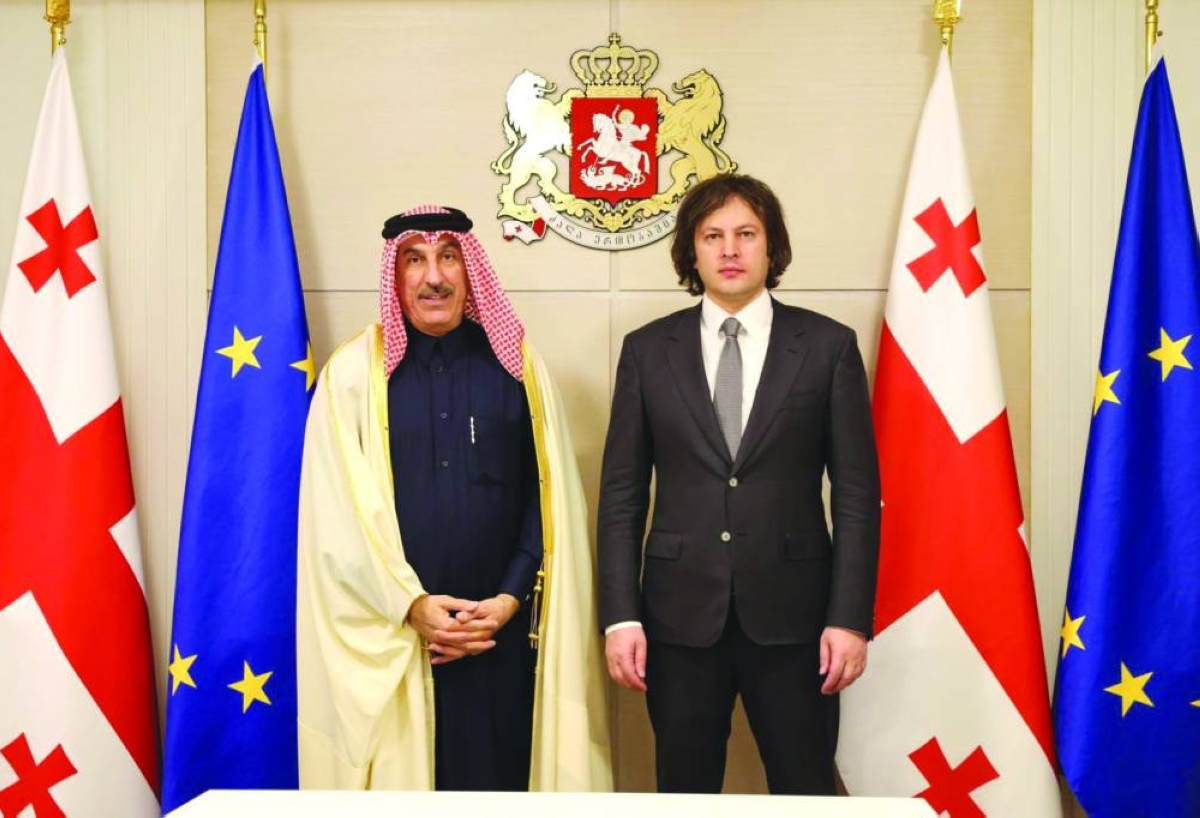 Georgian PM meets Qatar's envoy