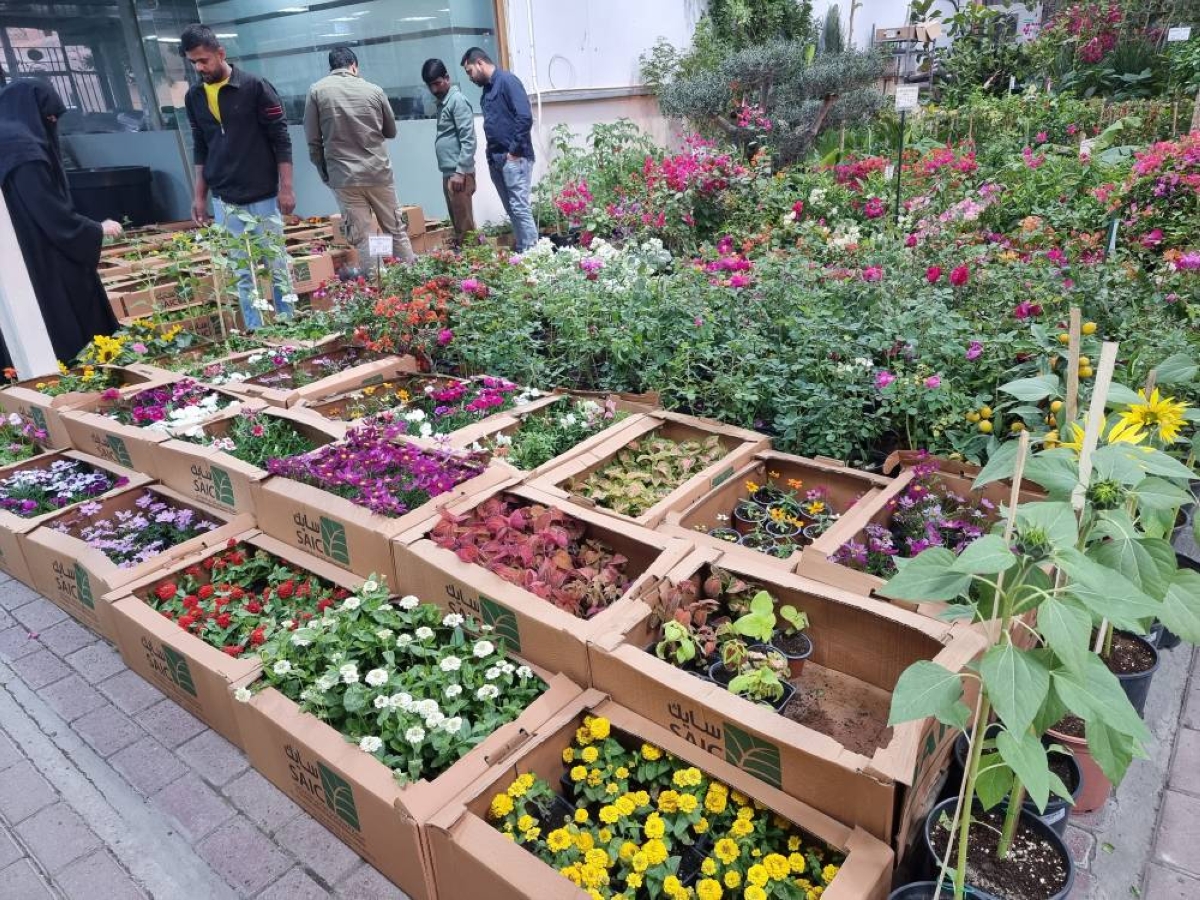 the seasonal boom highlights the resilience of the nursery business in Qatar. PICTURES: Joey Aguilar
