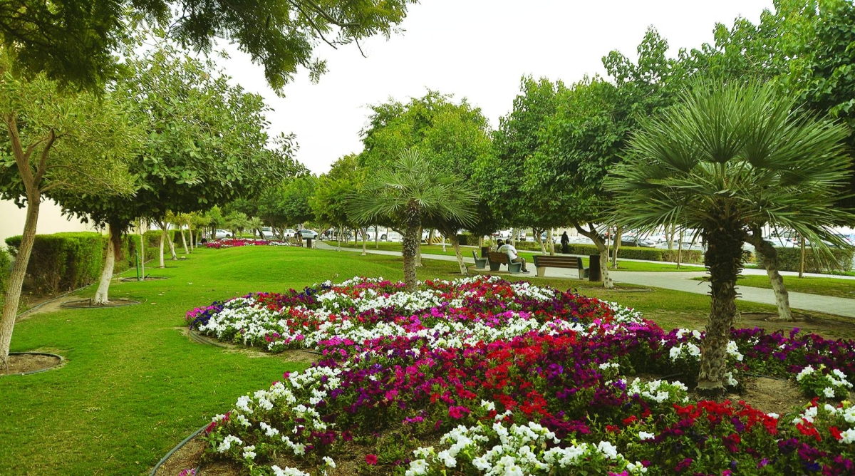 Linear park - serene oasis in the heart of Doha