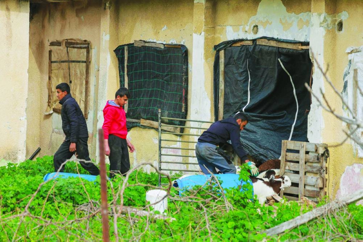 Bedouins gathers their goats on February 9, 2026, after residents of the town or Arraba, south of Jenin, in the occupied West Bank, were allegedly ordered to leave their homes by the Israeli army by the following day. Israel has occupied the West Bank since 1967, and violence there has soared since the Gaza war erupted in October 2023 following Hamas's attack on Israel. Some 3,200 Palestinians from dozens of Bedouin and herding communities have been forced from their homes by settler violence and movement restrictions since October 2023, the UN's humanitarian agency OCHA reported in October. All Israeli settlements in the West Bank are considered illegal by the international community. (AFP)