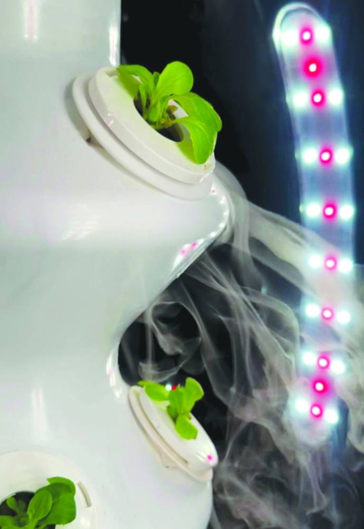 In a Gulf climate where summer heat hovers above 45°C, the ability to grow indoors, sustainably, and with negligible water waste could rewire how households — and cities — feed themselves. 