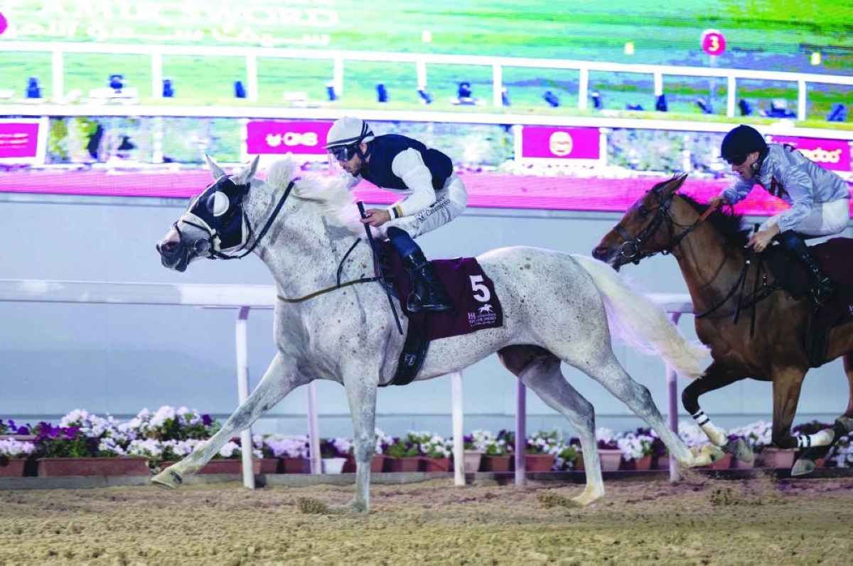 Mared Al Jasra timed his challenge to perfection to win the Purebred Arabian Sand Championship Cup under jockey Marco Casamento.