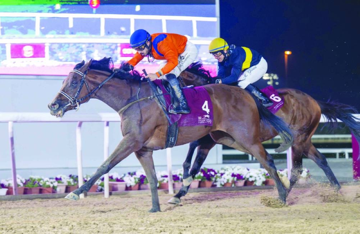 Marco Casamento rides Dubawi Spectre to Thoroughbred Sand Championship Cup win on the second day of the HH The Amir Sword Festival at the Qatar Racing and Equestrian Club’s Al Rayyan Racecourse Thursday. PICTURES: Juhaim