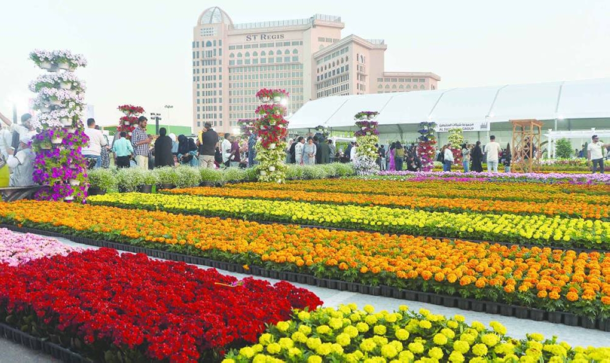 Spanning 40,000 sqm, AgriteQ 2026 features more than 520 exhibitors from 41 countries. The exhibition covers a wide range of sectors, including plant and animal production, fisheries and aquaculture, horticulture, food industries, transport and logistics, biotechnology, and smart agricultural systems. PICTURES: Shaji Kayamkulam