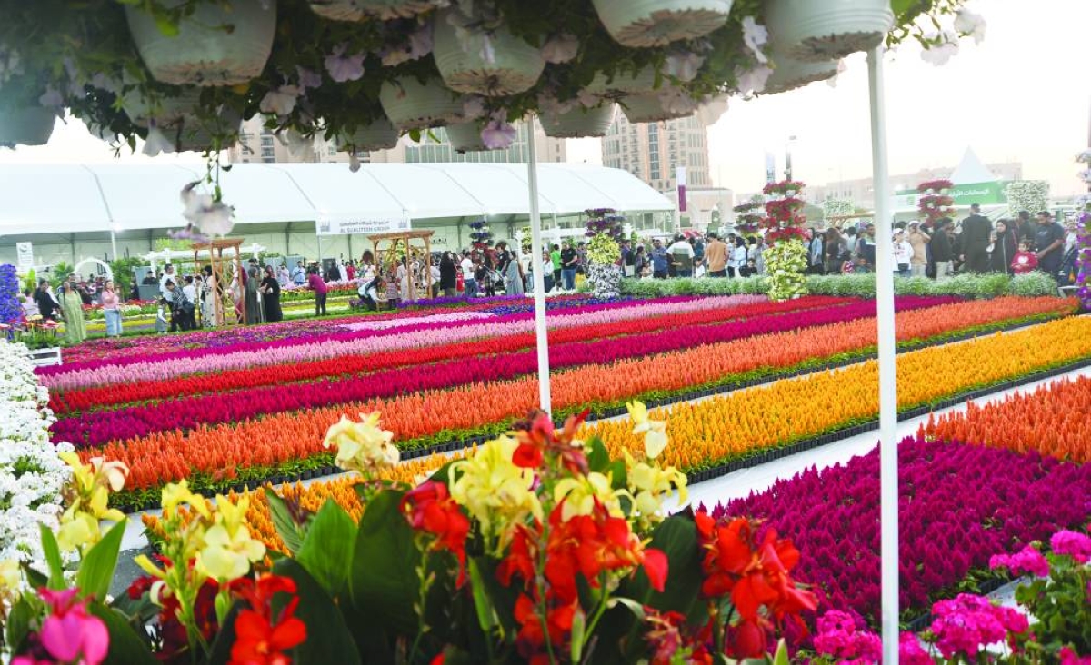 AgriteQ 2026 draws to a close