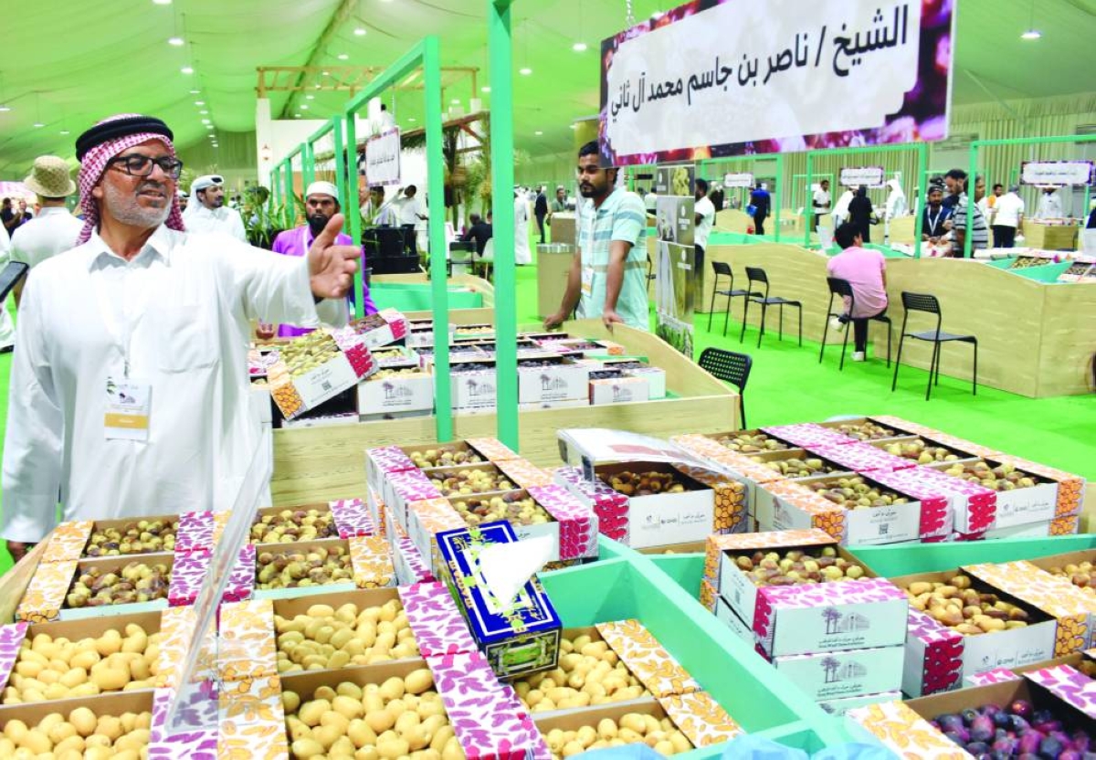 Qatar's date harvest bears fruit