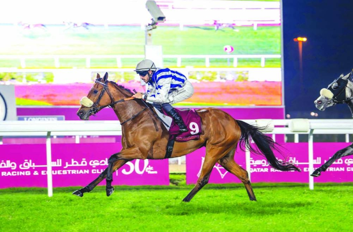 Marco Casamento rides Kendah Al Shahania to Loyalty Cup win at the Al Rayyan Racecourse. PICTURES: Juhaim
