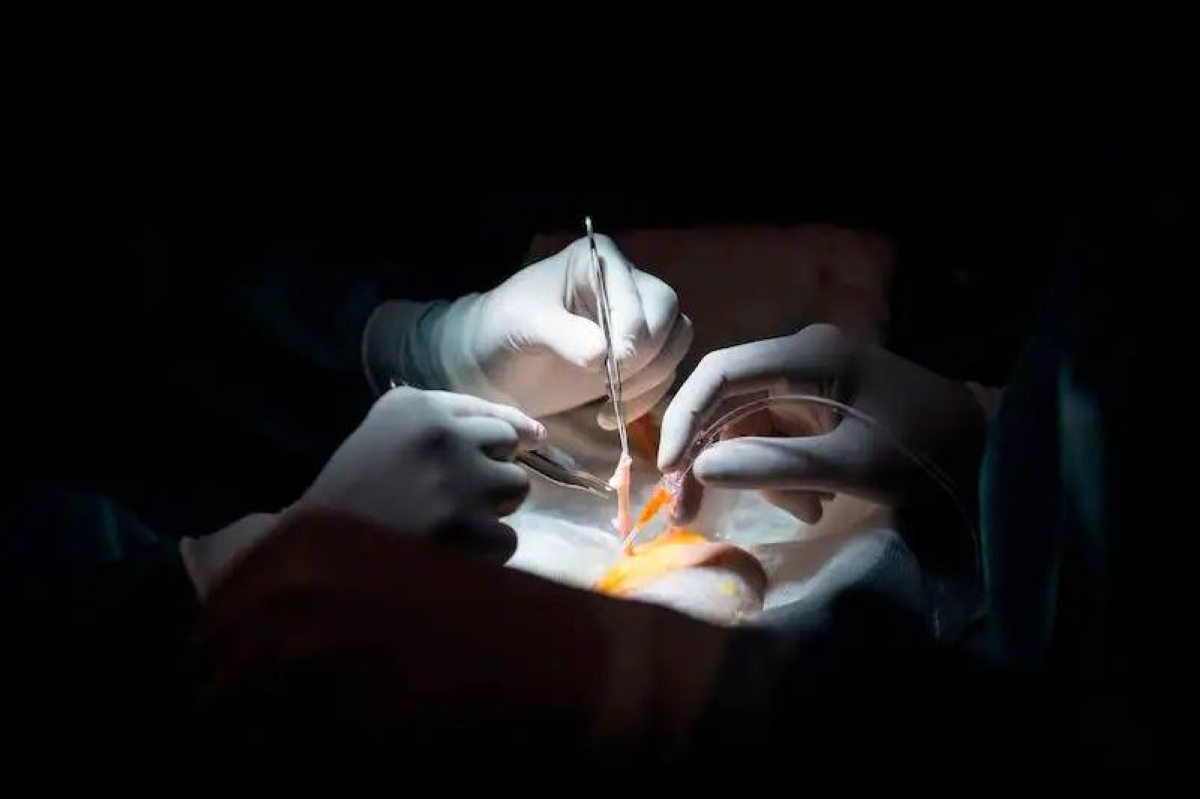 Toddler, who received faulty heart transplant that shocked Italy, dies