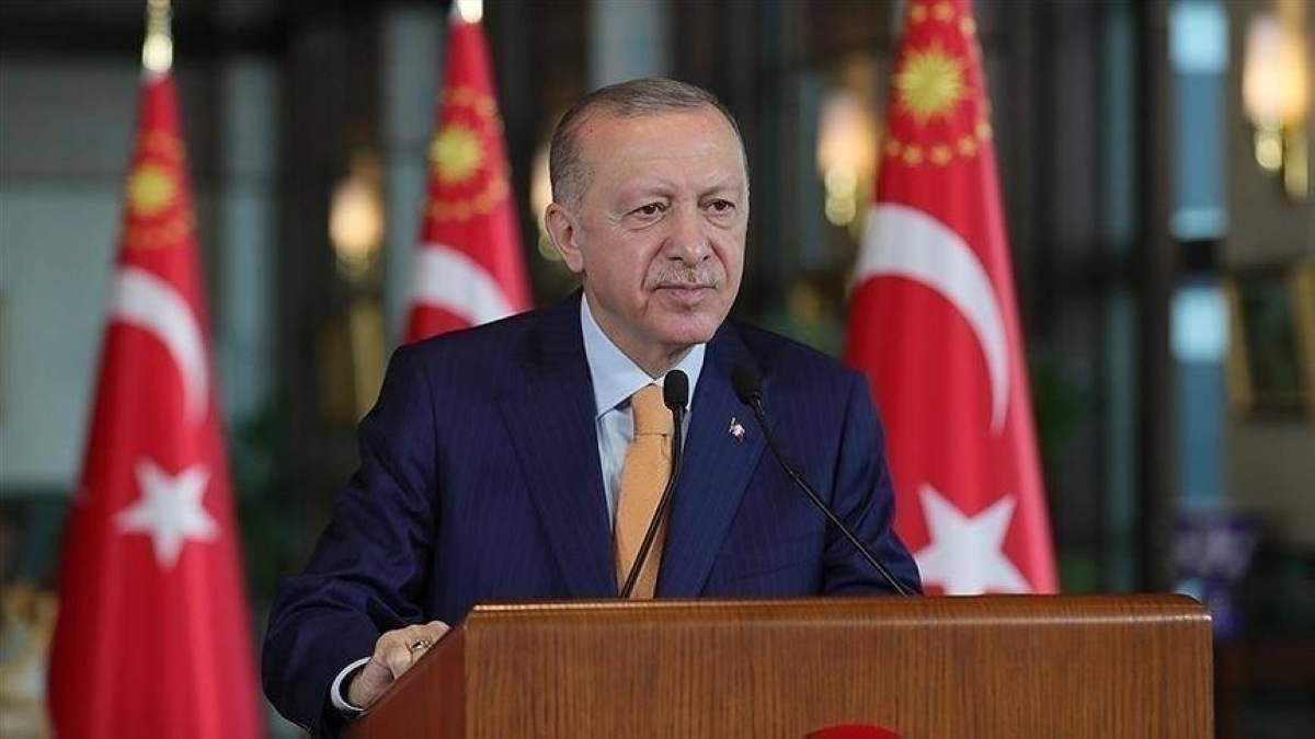 Turkiye is making efforts to ensure crises do not evolve into conflicts - President Erdogan