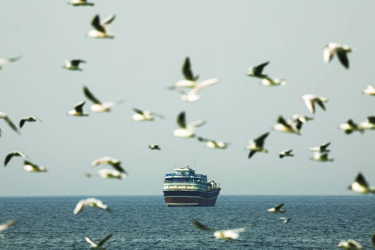 Birds fly near a boat in the Strait of Hormuz amid the US-Israeli conflict with Iran on Monday. Tanker traffic through the Strait of Hormuz has dwindled, with vessels pooling on either side of the corridor. PICTURE: Reuters