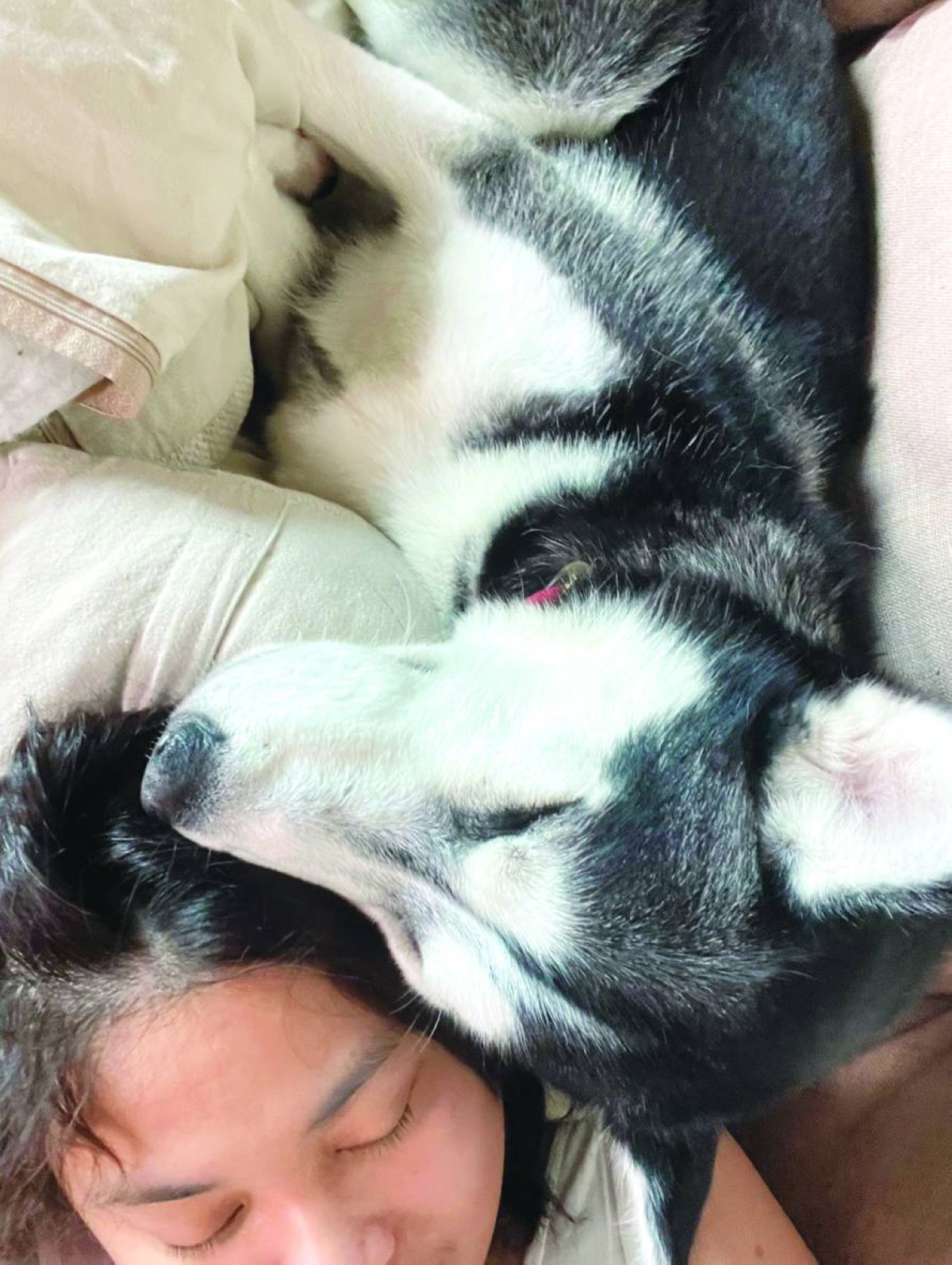 Michelle Alcazar with Rocky.