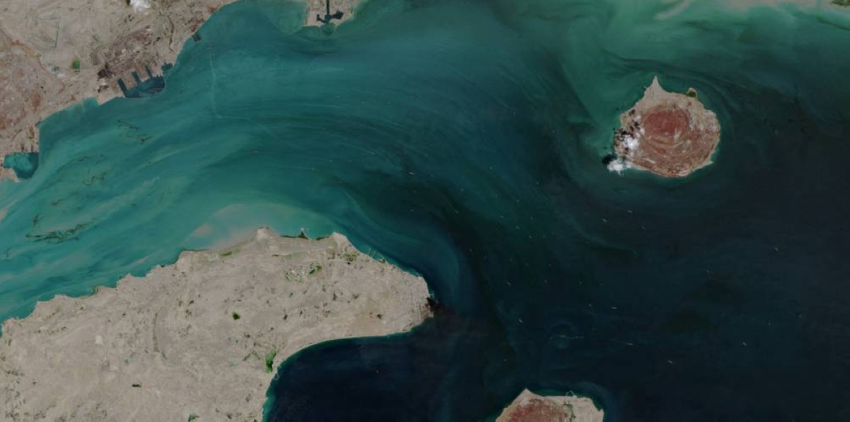 A satellite image shows the ship movement at the Strait of Hormuz. REUTERS/File Picture