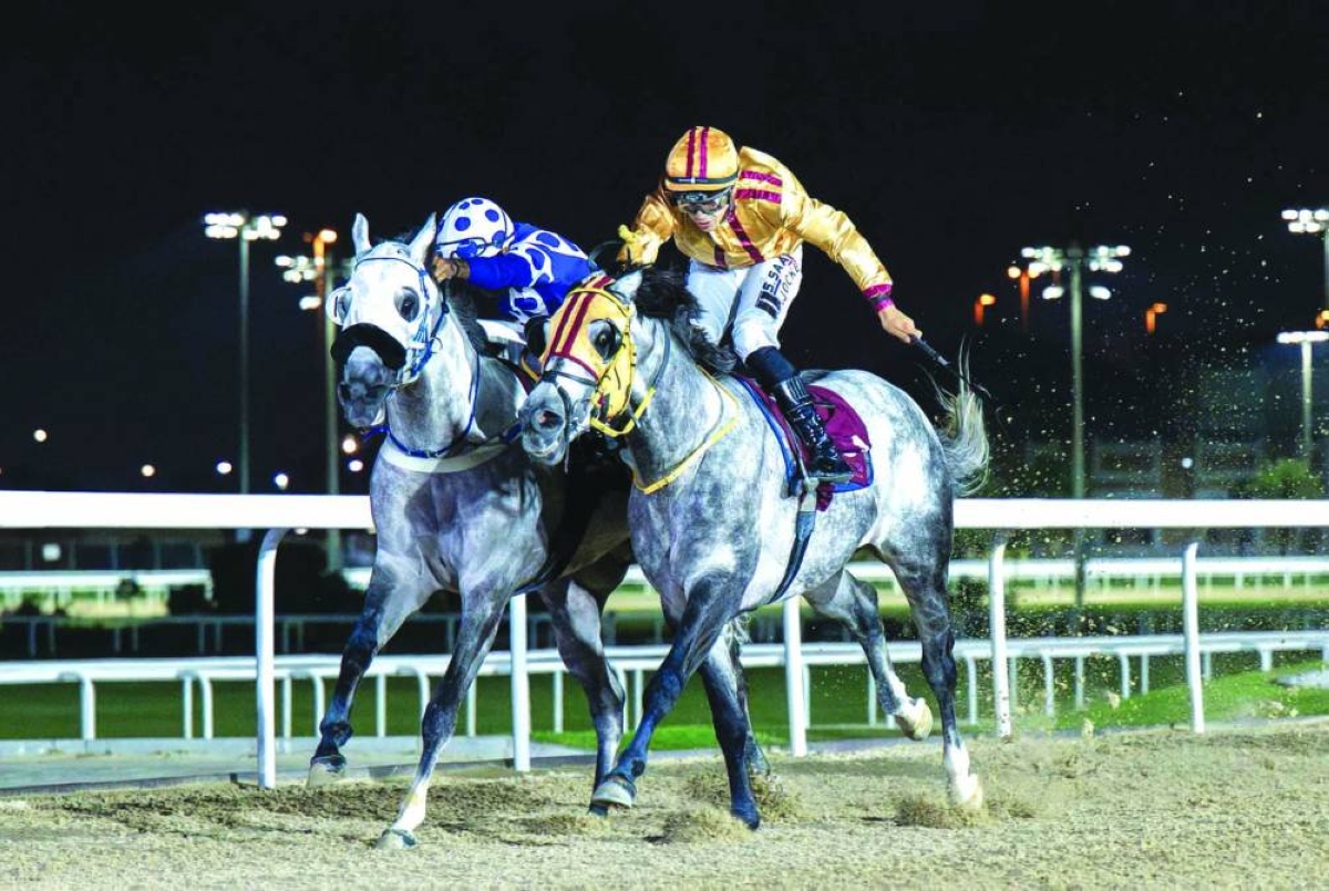 Jockey Faleh Bughenaim rides Naseeb Zakhir to Al Mafiar Cup victory at Al Rayyan Racecourse Wednesday. 
PICTURE: Juhaim