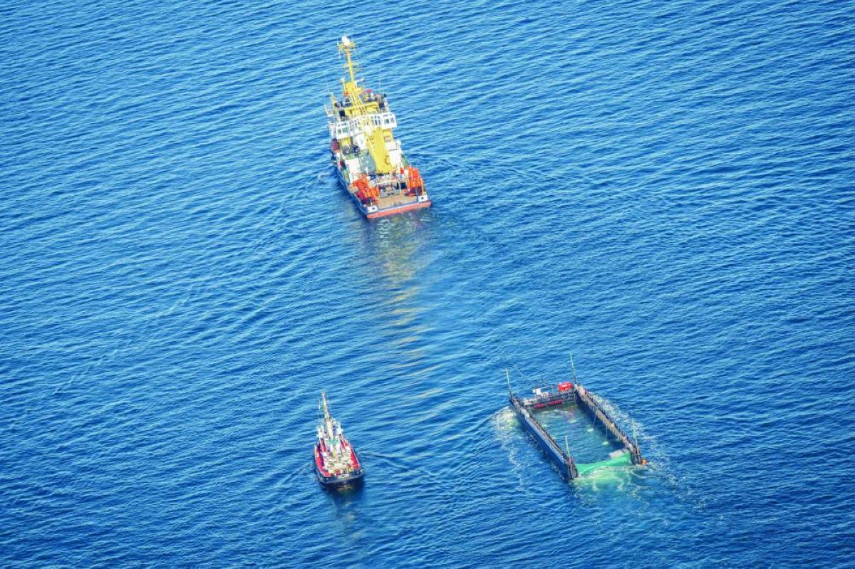 Photo taken Wednesday shows a ship towing the rescued humpback whale in a special barge along the Danish coastline enroute back to the North Sea. (AFP)