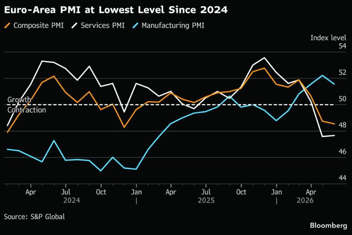 ECB risks repeating 2011 mistake with rate hike, warn economists