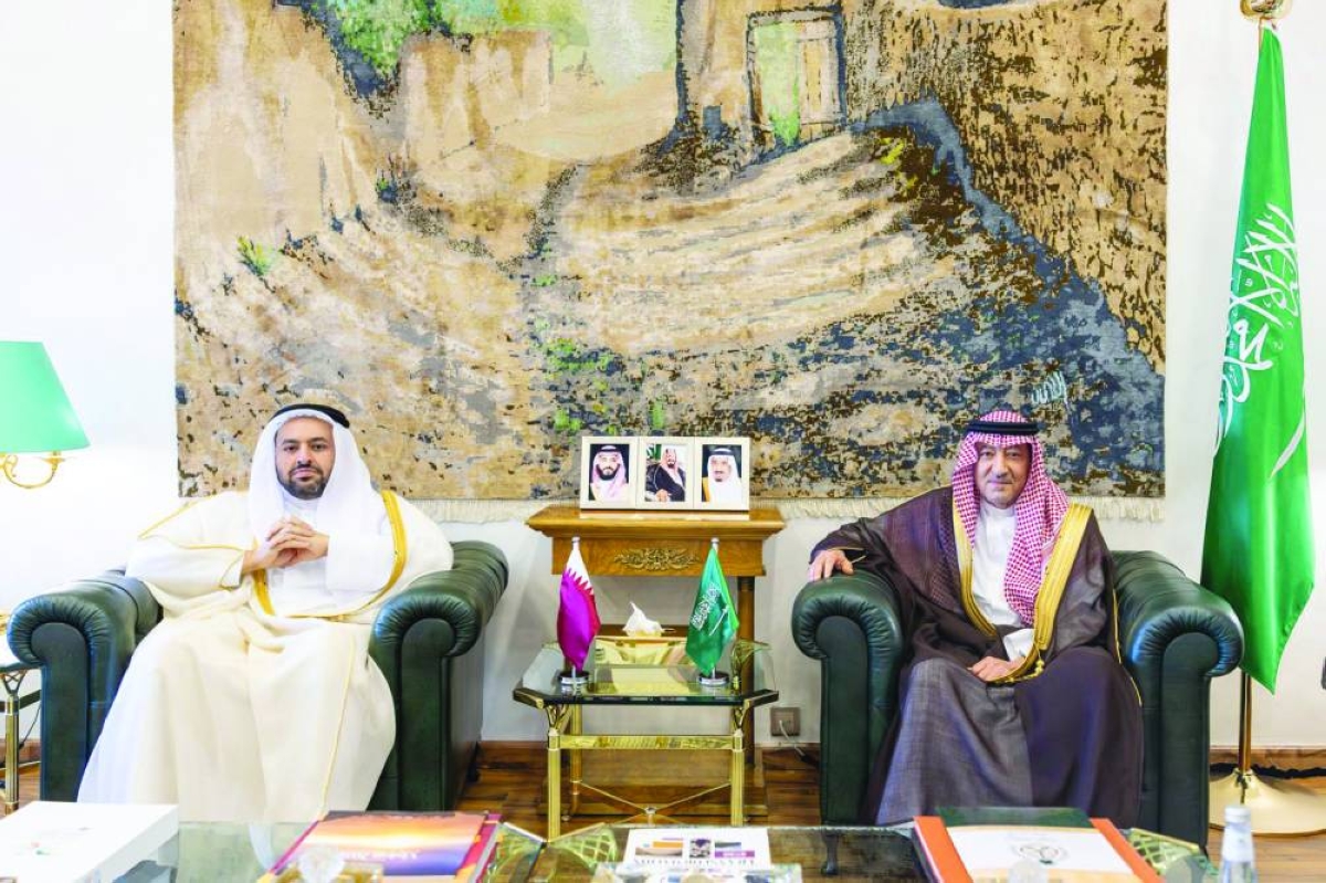 Minister meets Saudi vice-minister