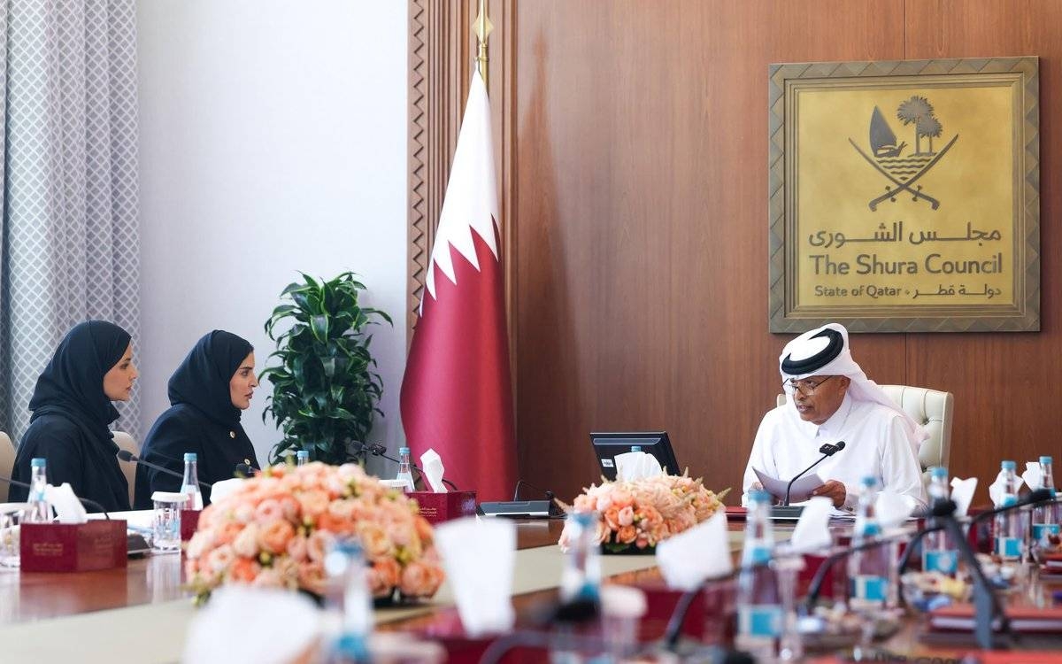 Consultative sessions on National Human Rights Action Plan continue