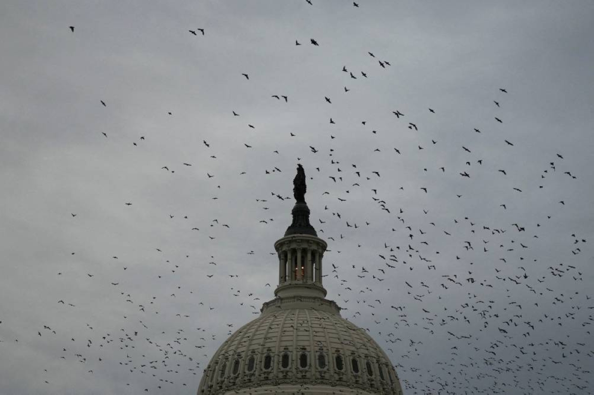 Democrats plan investigations on Trump if they win House