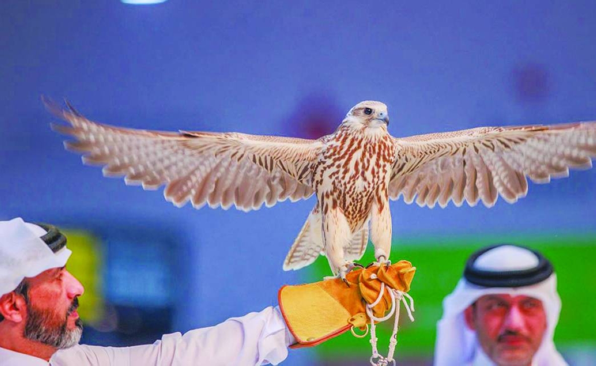 Falcons ready for 14-nation S'hail flight