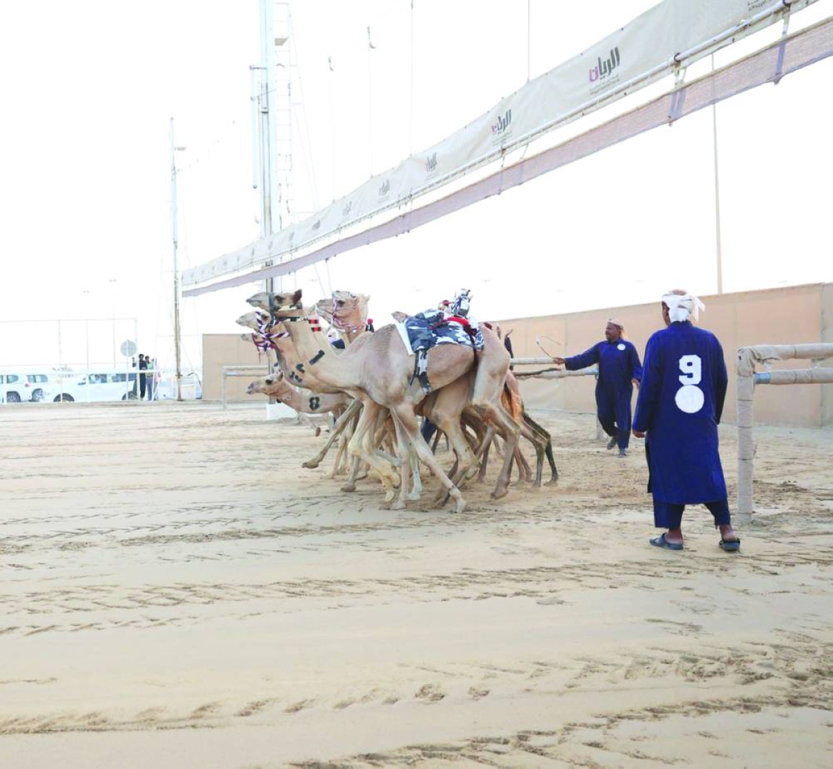 Al Shahaniya Hosts the Inaugural Local Camel Racing Event of the Season