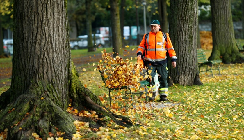 A City of Lausanne staff blows leaves in Lausane, Switzerland