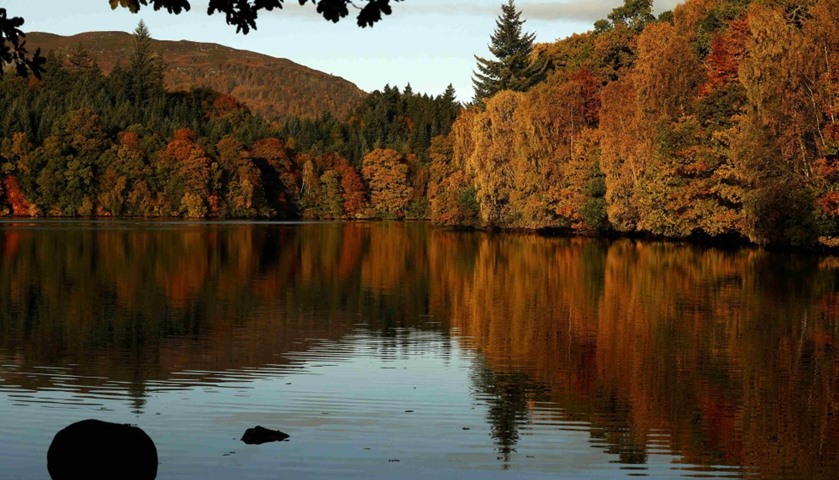Autumn leaves are reflected in the water of Loch Faskally, in Pitlochry, Scotland