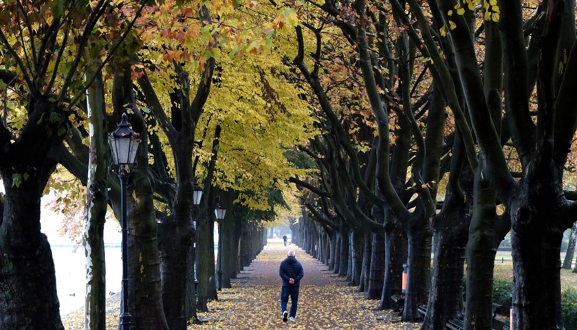 A man takes a walk at the Greenwich promenade