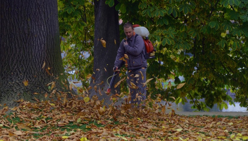 A man clears fallen leaves in a park, in Prague