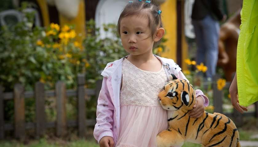 A girl holds a Siberian tiger toy at the Hengdaohezi Siberian Tiger Park