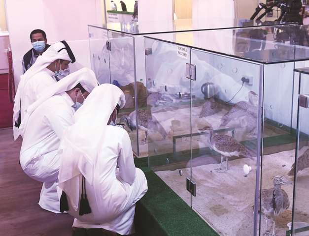 Hugely successful S\'hail hunting and falcons expo concludes at Katara on Saturday