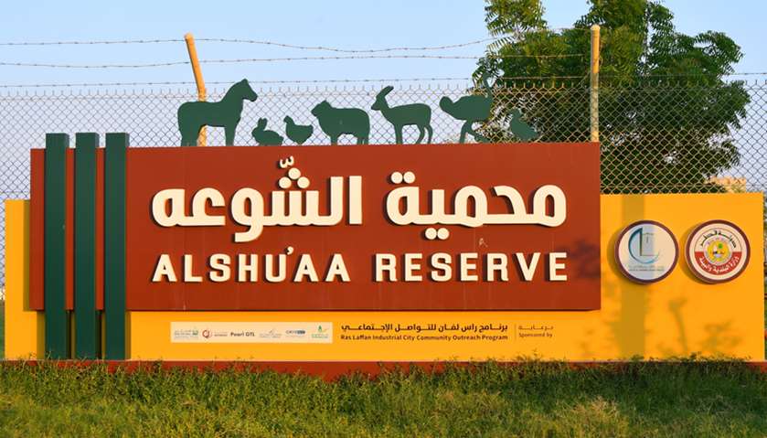 Al Shu\'aa Reserve