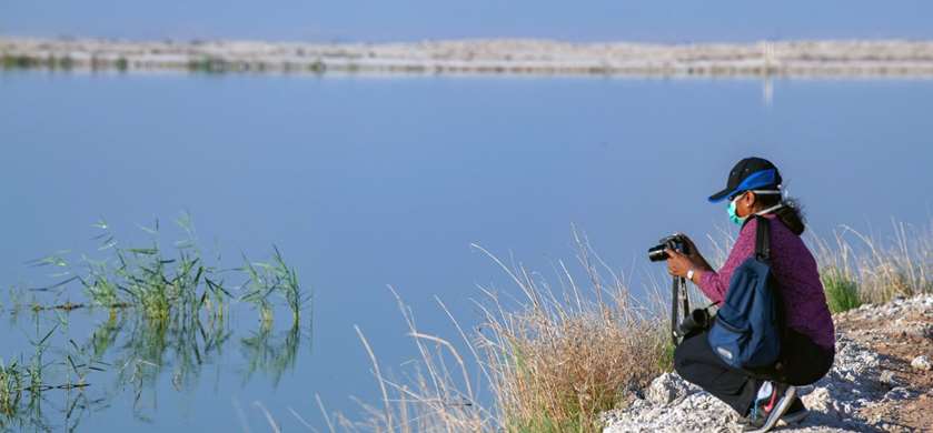 Bird-watching at Al Karaana Lagoon