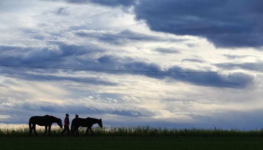 People walk beside their horses in front of clouds Bavarian village of Alling, Germany