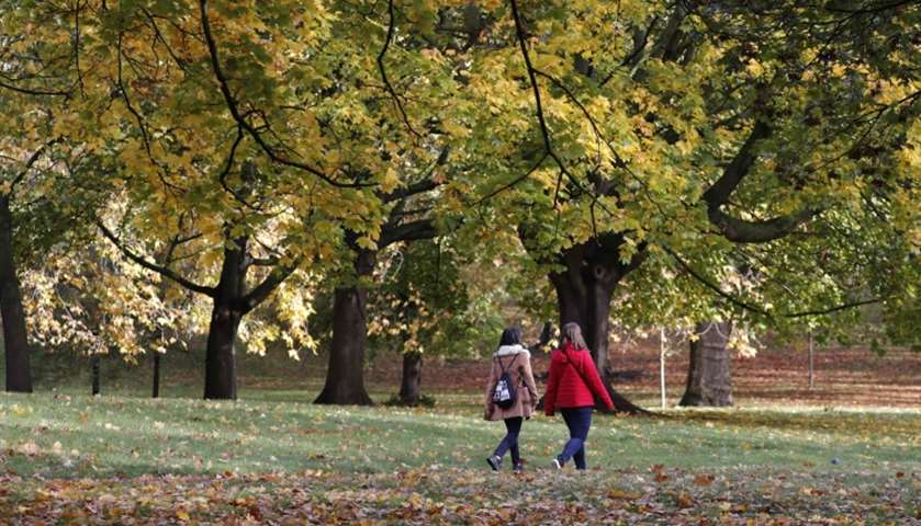 Two people walk through Green Park in central London