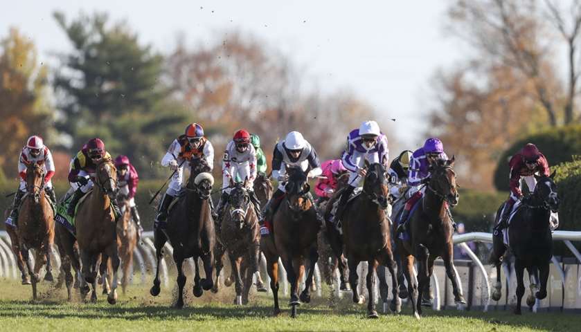 Christophe Soumillon aboard Order of Australia (15) leads the pack in the Breeders\' Cup Mile race
