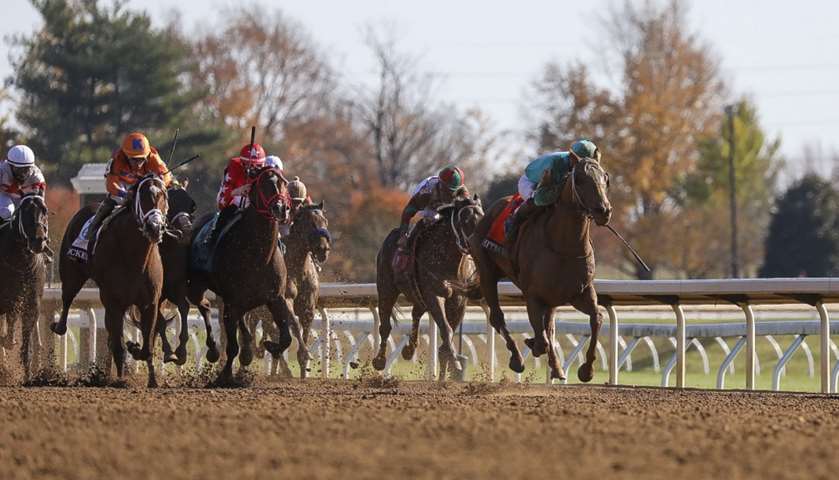Irad Ortiz Jr. aboard Whitmore (7) leads the pack in the Breeders\' Cup Sprint