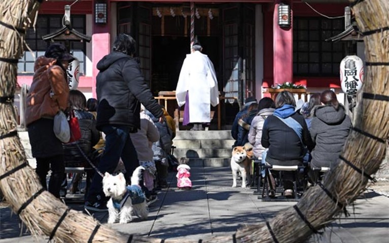 Pet owners attend a blessing ceremony at Ichigaya Kamegaoka Hachimangu Shinto shrine in Tokyo