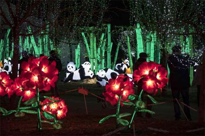 The Lantern Festival in France runs until January 31