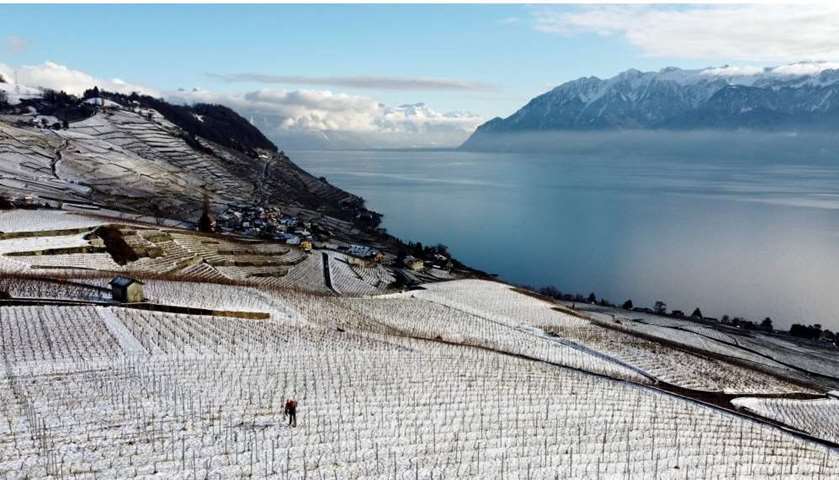 A man works in the UNESCO-listed Lavaux vineyards after a snowfall