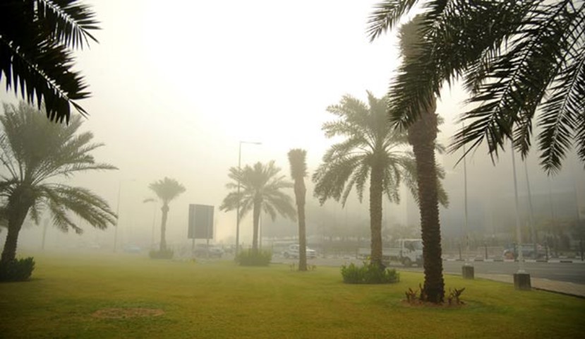 The fog reduced visibility in many parts of Qatar