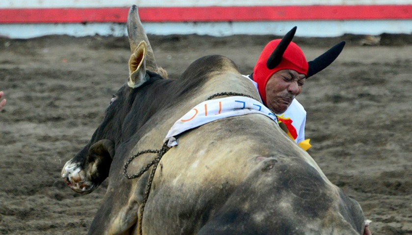 A bullfighter is rammed by a bull in the ring of bulls of Zapote