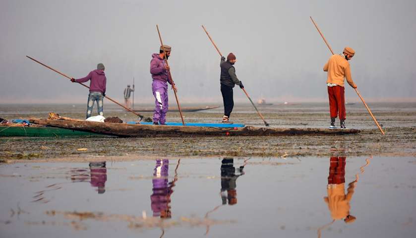 Fishermen use spears to catch fish in the waters of Anchar Lake - Srinagar, India