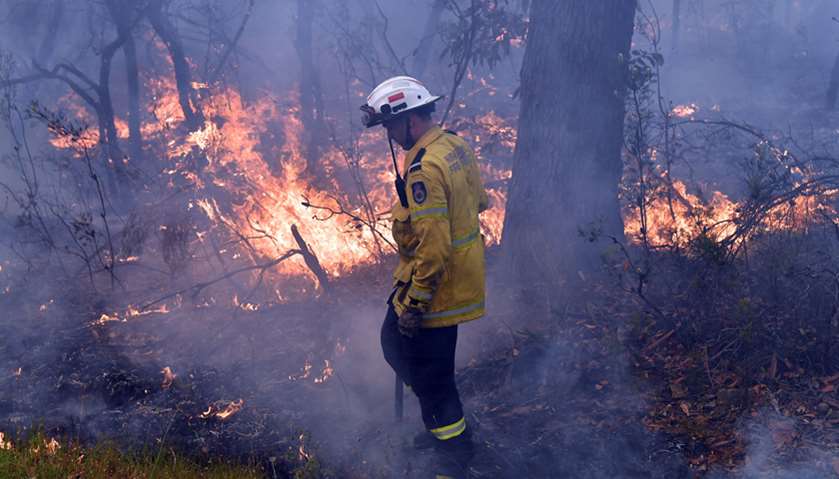 Encroaching bushfires at the Mangrove area in Central Coast Sydney