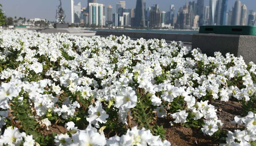 Getting ready for QND2020